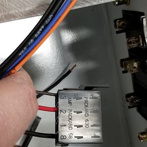 Carling plug labels