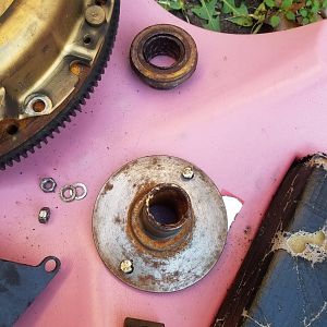 Throwout