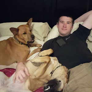 Pups
