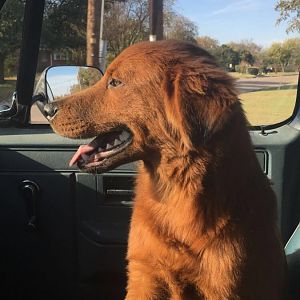 First ride home