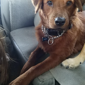 CO road trip
