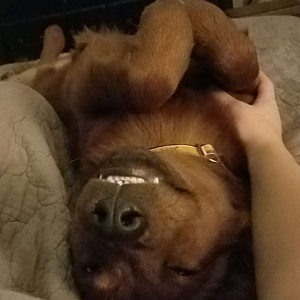 All smiles