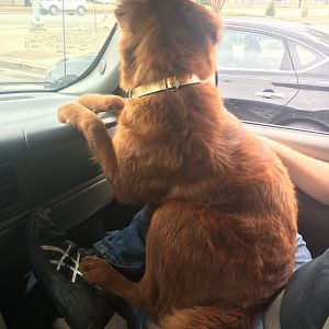Navigator