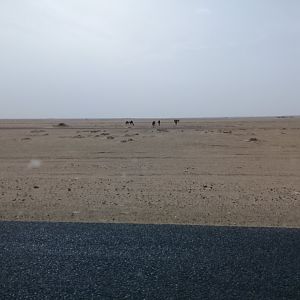 sand