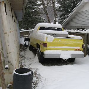 Winter Hibernation