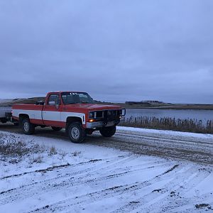 Cheep10