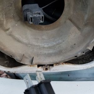 Headlight Plugs