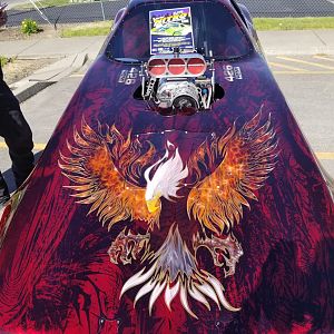 Nitro funny car hood bird