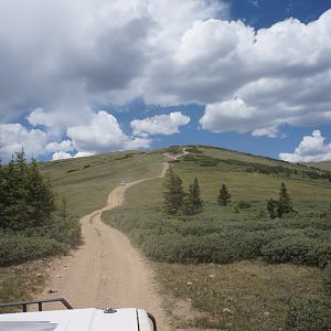 Reaching treeline
