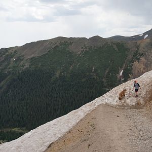 snow blocking Webster Pass