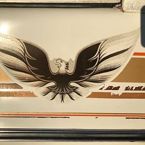Firebird Jimmy tailgate logo