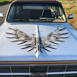 Firebird Jimmy hood bird