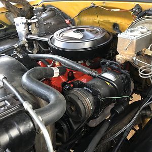 Fresh rebuild