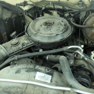 I bought the short box project for $700.  It had a rebuilt 350 and 700r4.  But the owner had to sell it cause he was moving
