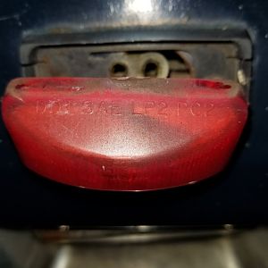 Tailgate light