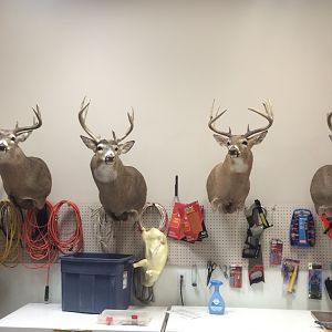 few more reasons for an accurate rifle