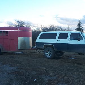 Bringing a new old horse out to Dad and Moms,  dad has a soft spot for good old horses, just loves to take care of them.