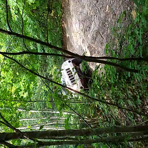ZJ on the cliff