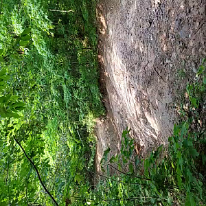 Blue85 on the cliff