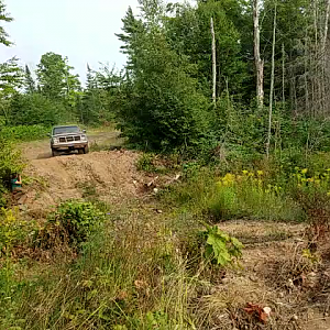 Great Smaug in the berm