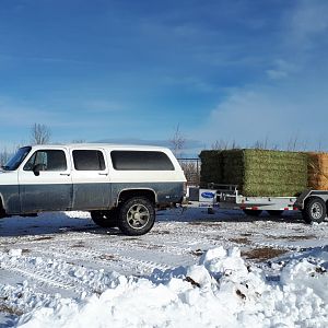 Having a hay day. I'm struggling with deciding if I should build a roof rack and front and rear bumpers and go back to 17s.  I like this look too.