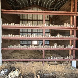 Jars