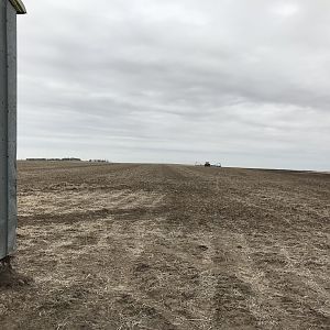 Trail across field.