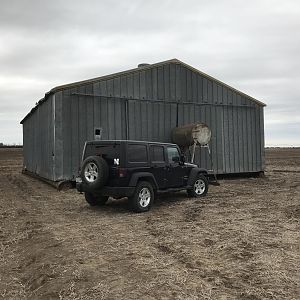 Posing Jeep.
