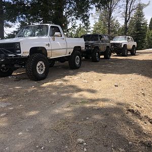 BM20