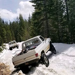 BM12