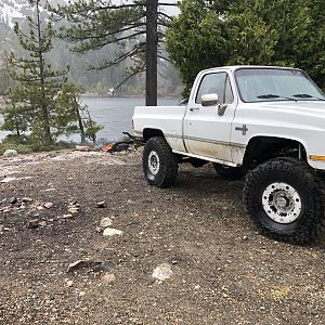 BM31