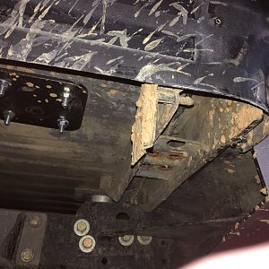 Rear 1/4 cut