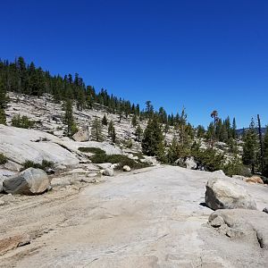 Rubicon june 2019