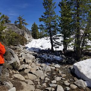 Rubicon june 2019