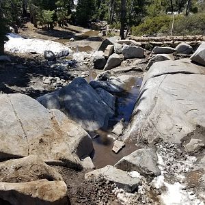 Rubicon june 2019