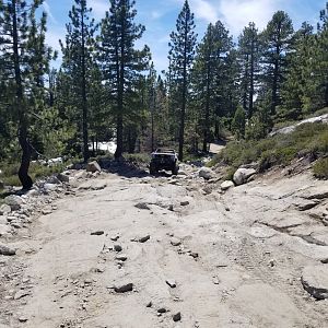 Rubicon june 2019