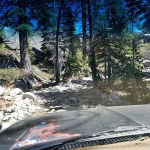 Rubicon june 2019