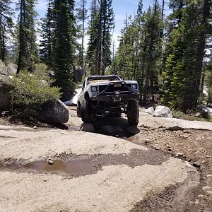 Rubicon june 2019