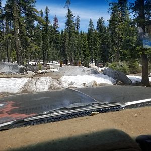 Rubicon june 2019