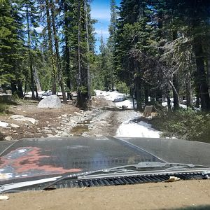 Rubicon june 2019