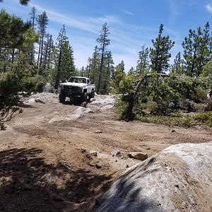 Rubicon june 2019
