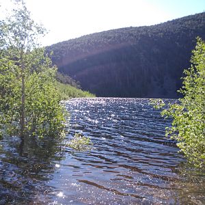 Shoreline