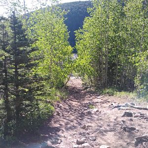 View to the lake