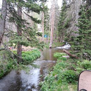 Creek by camp