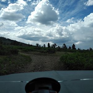 Trail strart