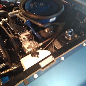 Shelby engine