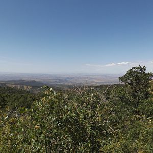 epic view