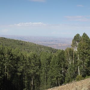view