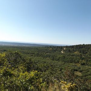 utah looking back to co