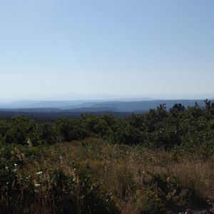 view